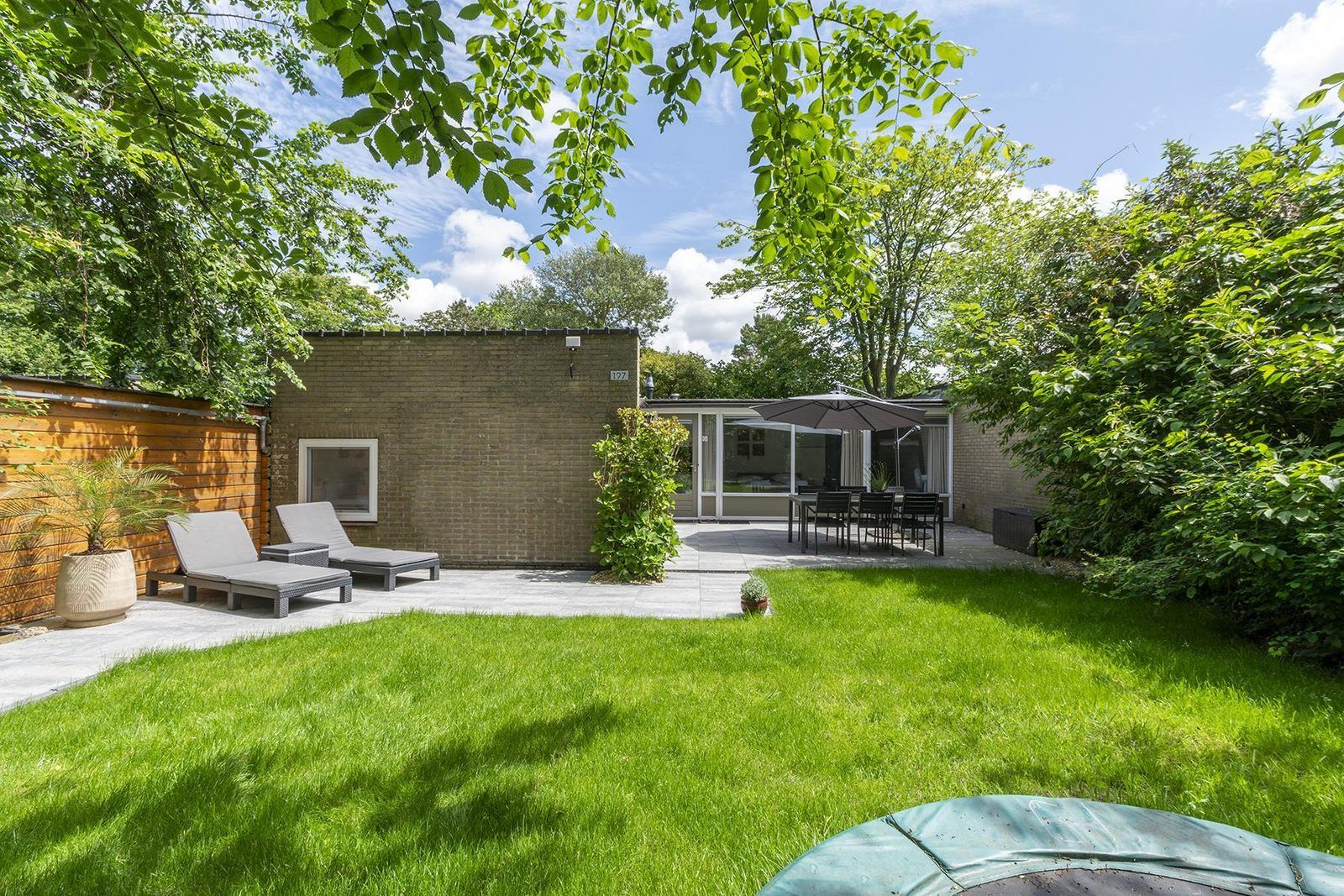 Unterkunft 450666 - Ferienhaus Noordzeekust - Duinland 197