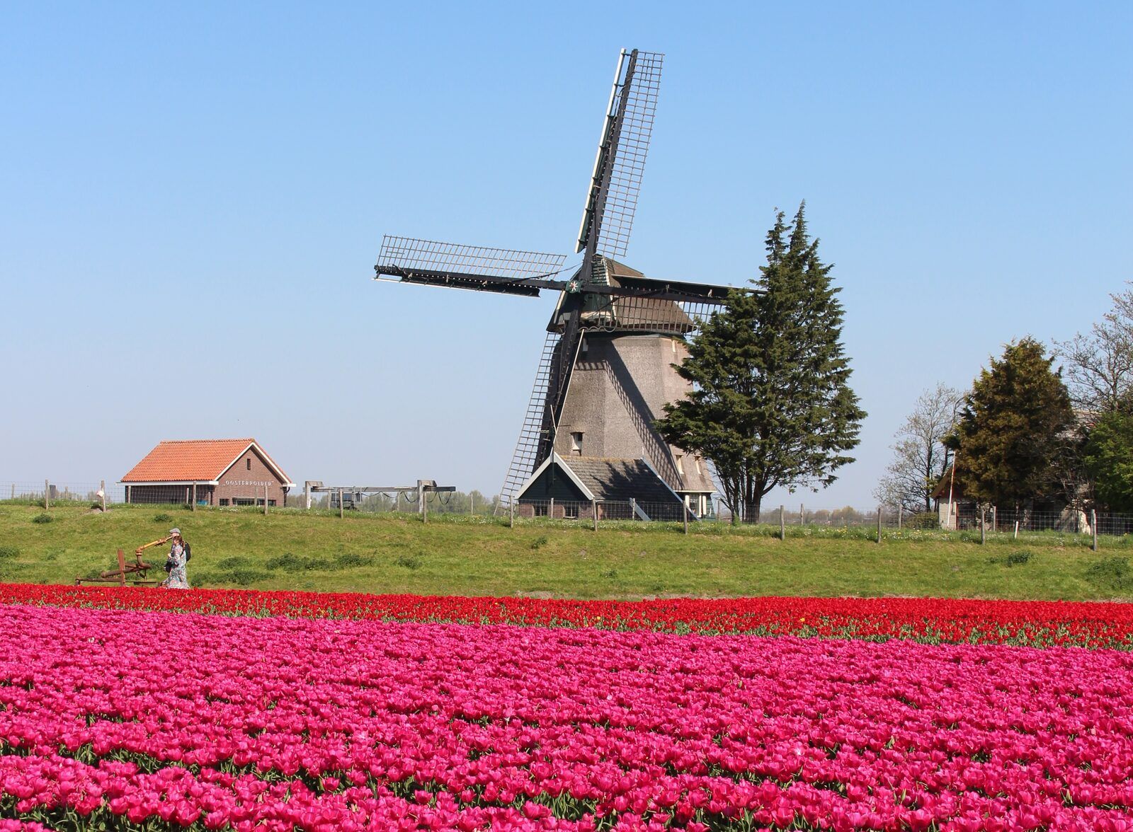 Unterkunft 450669 - Ferienhaus Noordzeekust - Duinland 190
