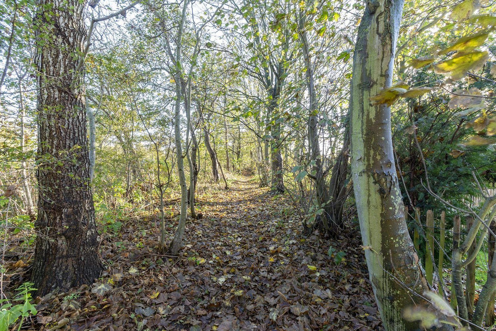Unterkunft 450682 - Ferienhaus Noordzeekust - Duinland 186