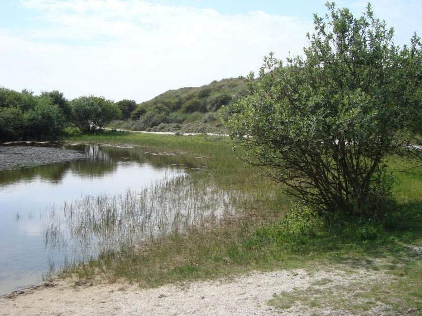 Verblijf 450706 - Appartement Noordzeekust - Appartement mit Terrasse
