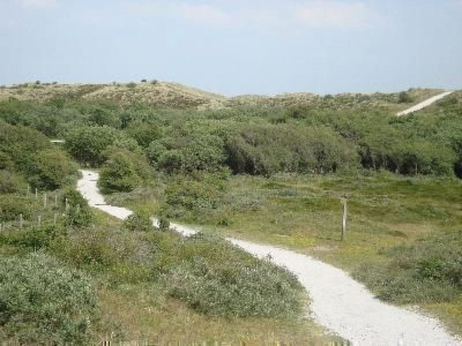 Verblijf 450706 - Appartement Noordzeekust - Appartement mit Terrasse