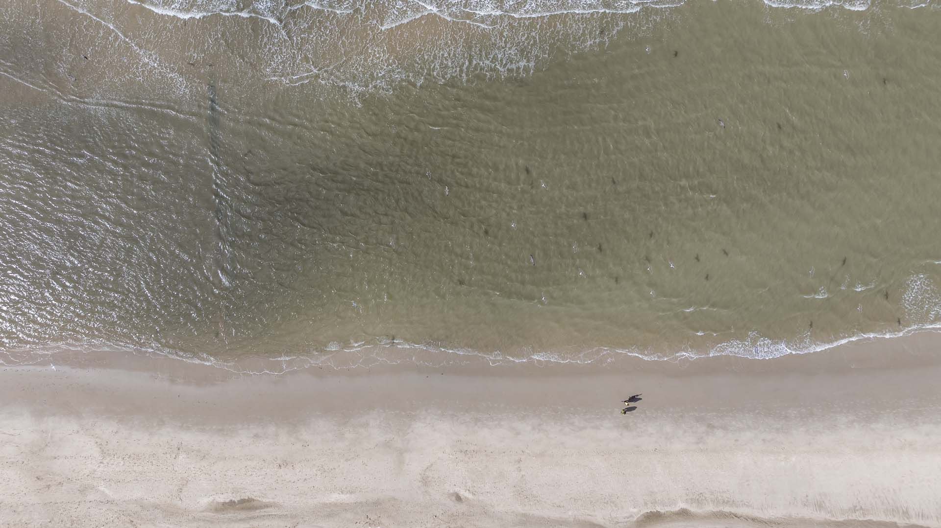 Image 21