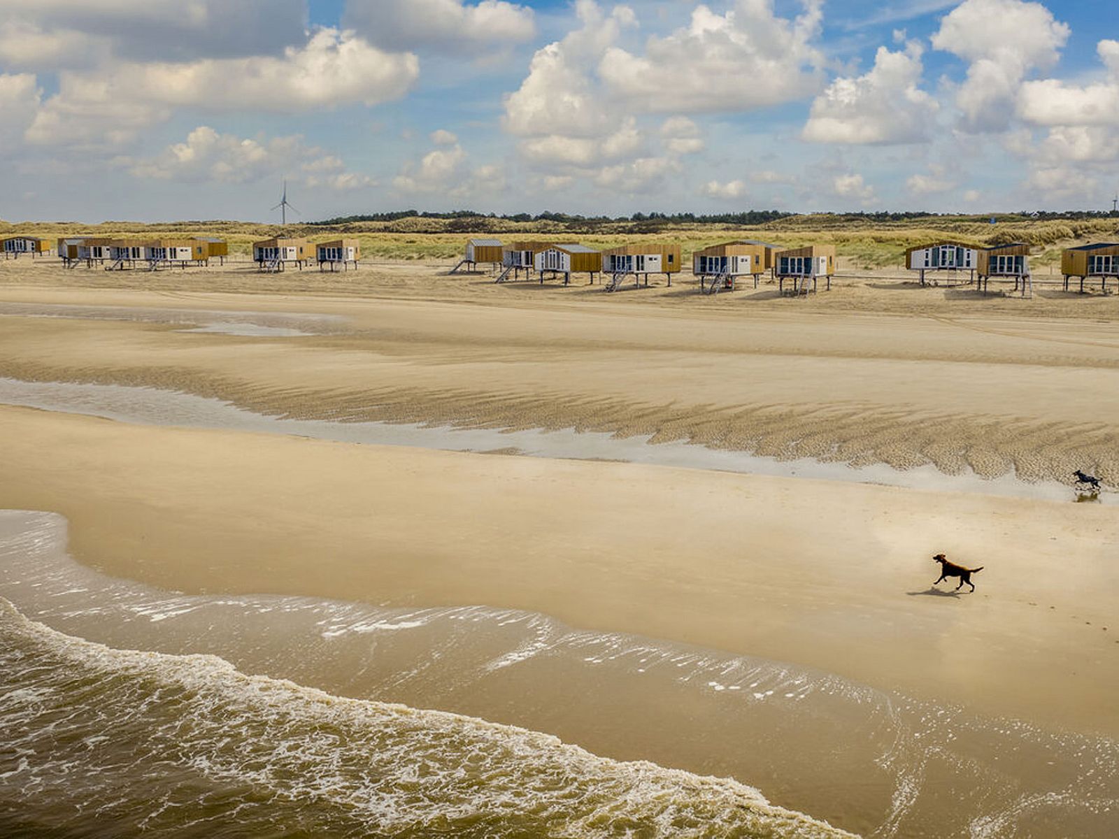 Guest house 450734 - Holiday property Noordzeekust - Vrijstaande woning in Petten