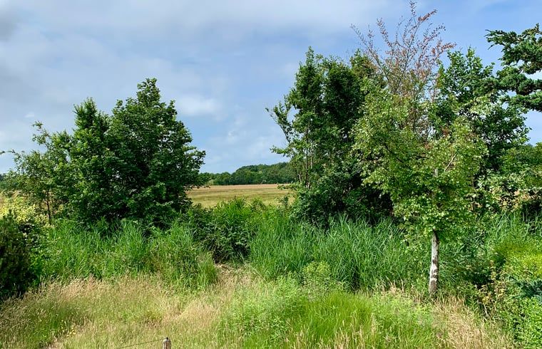 Erholsame Aussicht auf die gruene Natur vom Haus in Egmond-Binnen, einem Ferienhaus an der Nordseekueste in Nordholland.