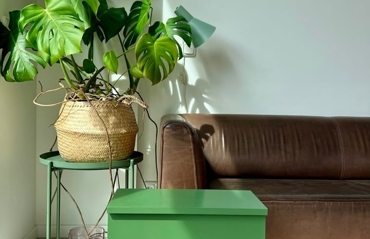 Gemuetliches Wohnzimmer im Haus in Egmond-Binnen mit gruenen Akzenten, bequemem Sofa und Pflanzen, Nordseekueste, Nordholland.