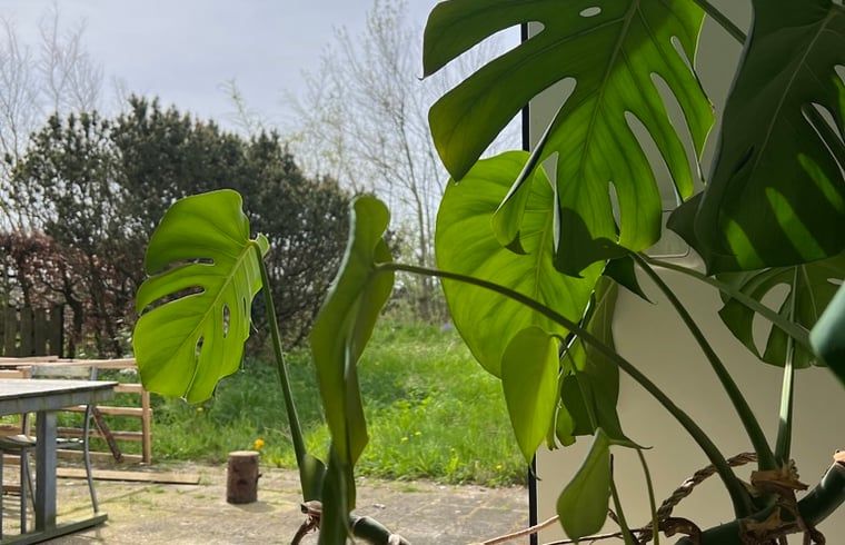 Unterkunft 451109 - Ferienhaus Noordzeekust - Huisje in Egmond-Binnen