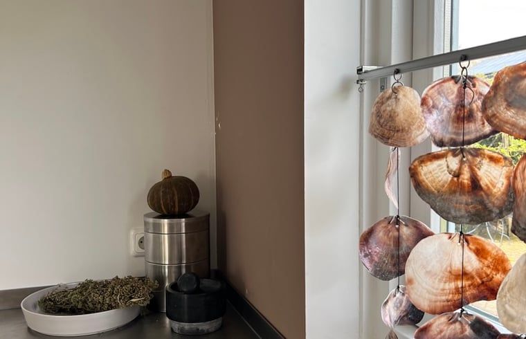 Unterkunft 451109 - Ferienhaus Noordzeekust - Huisje in Egmond-Binnen