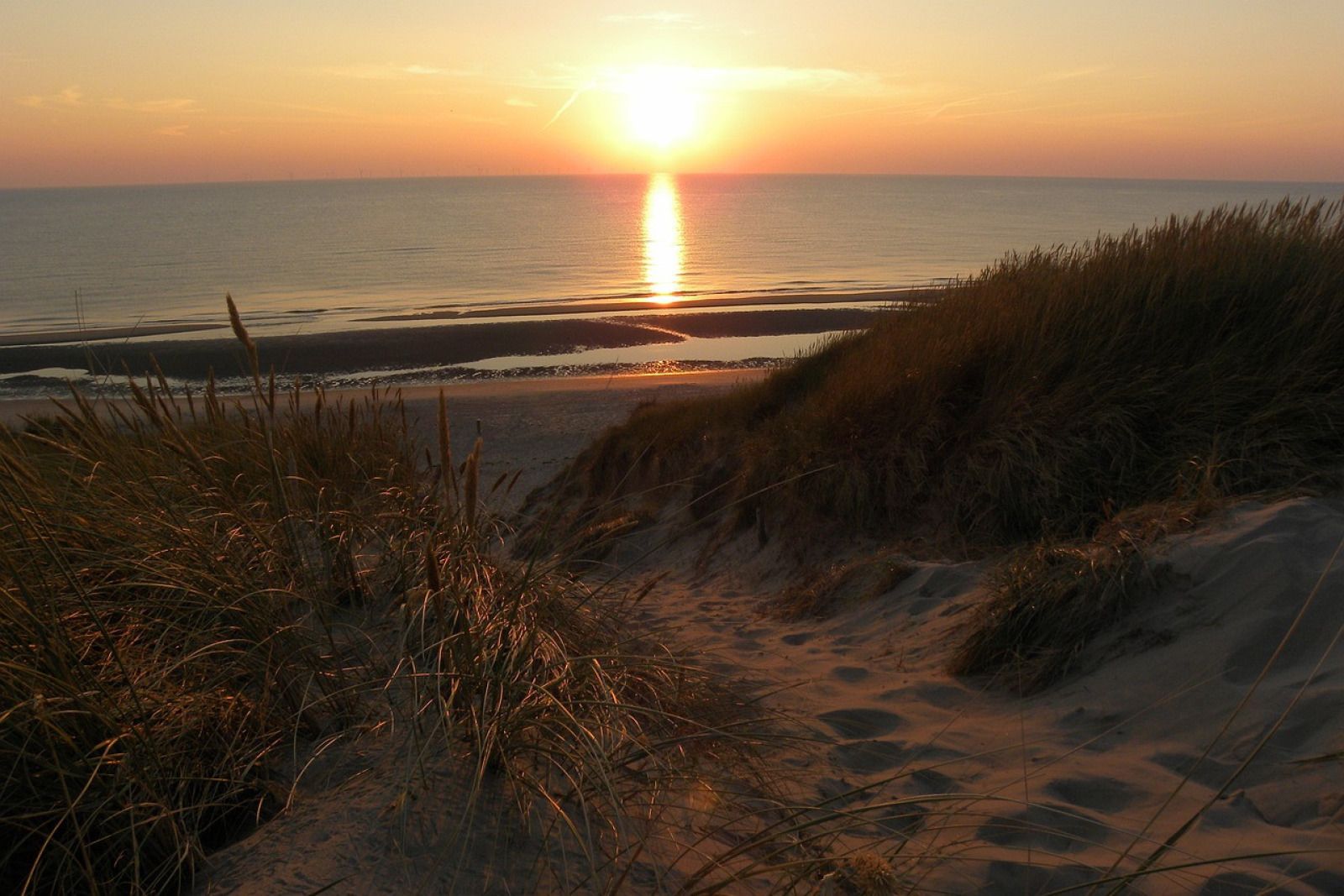 Guest house 451110 - Holiday property Noordzeekust - NH518