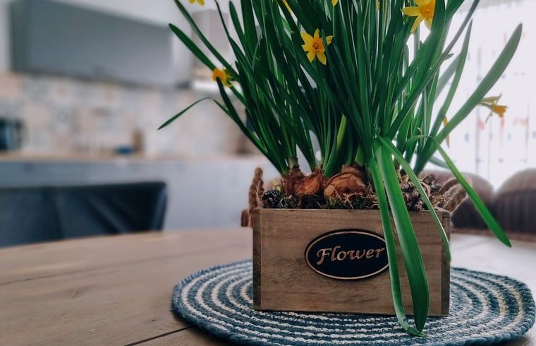 Unterkunft 451112 - Ferienhaus Noordzeekust - Huisje in Egmond-Binnen