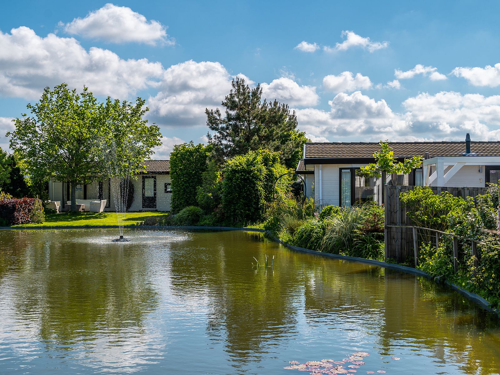 Unterkunft 451259 - Ferienhaus Noordzeekust - EuroParcs De Woudhoeve