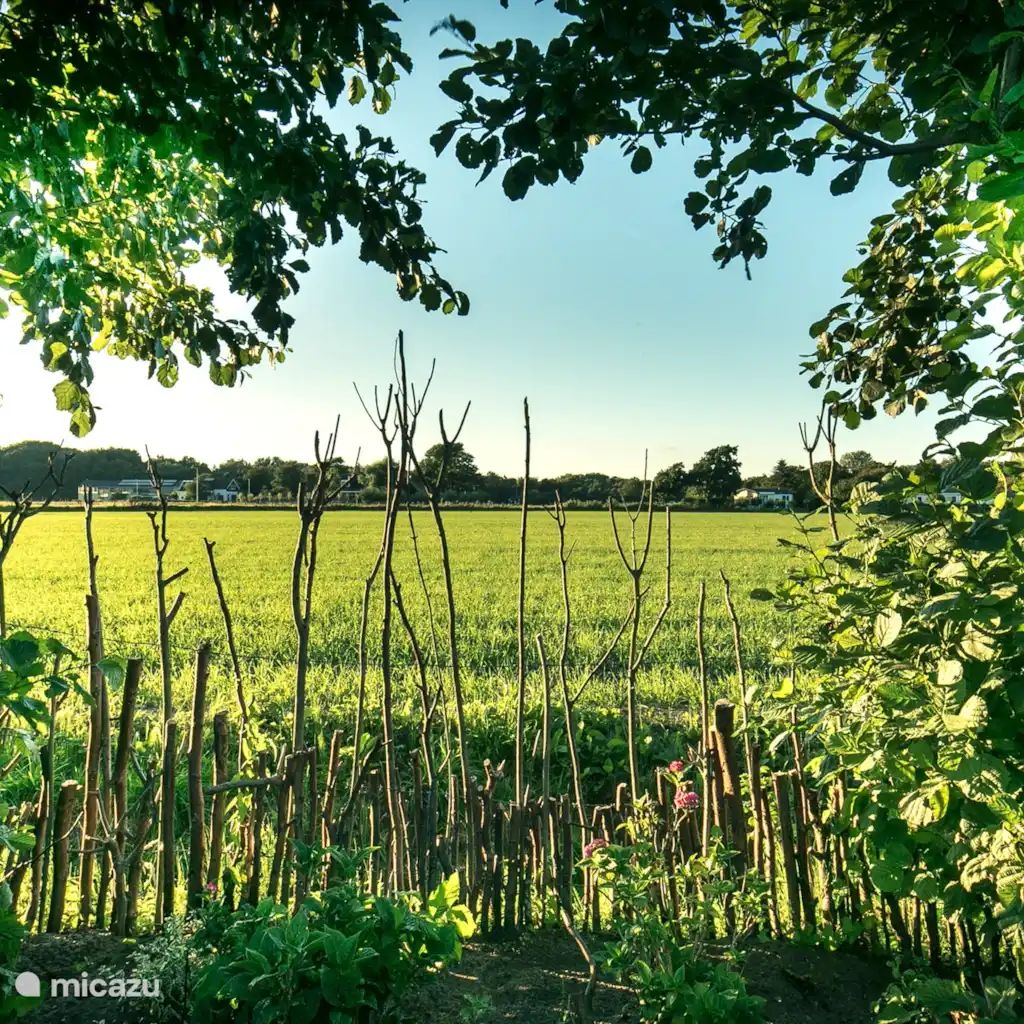 Verblijf 451263 - Bungalow Noordzeekust - Solaris