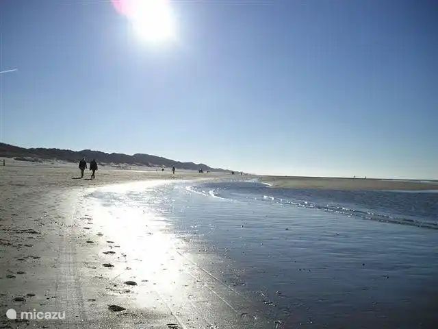 Unterkunft 451705 - Bungalow Noordzeekust - De Tuinfluiter