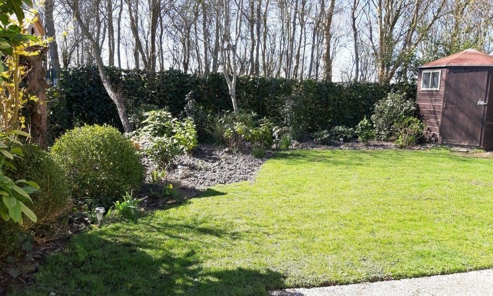Groene tuin rondom Rekere 111 vakantiehuis in Schoorldam, Noordzeekust, Noord-Holland met schuur en bomen.