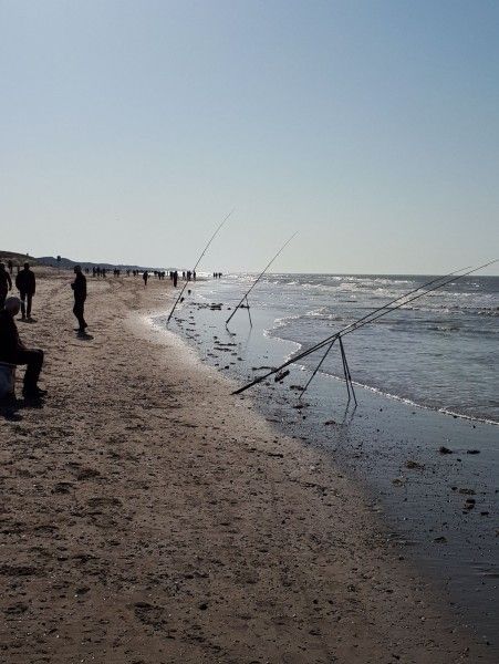 Verblijf 451749 - Vakantiewoning Noordzeekust - Rekere 111