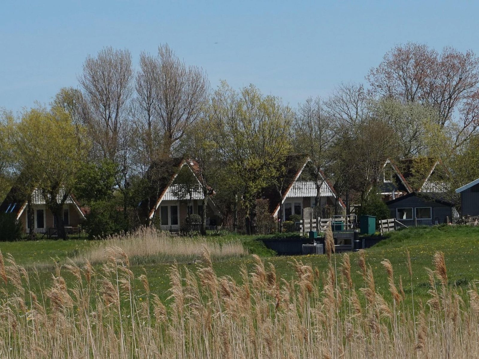 Unterkunft 452016 - Ferienhaus Noordzeekust - Vogelvrij 4