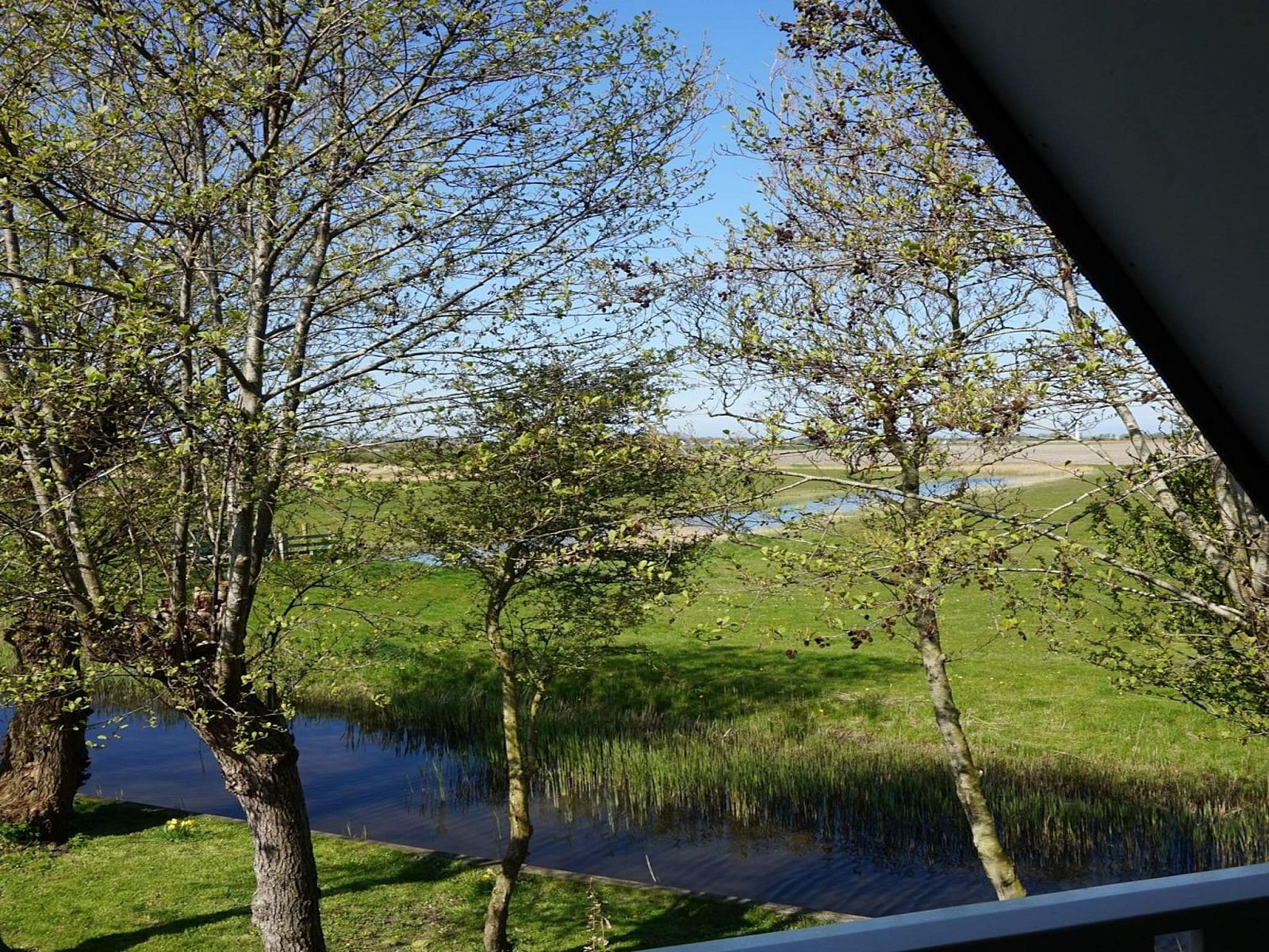 Unterkunft 452016 - Ferienhaus Noordzeekust - Vogelvrij 4