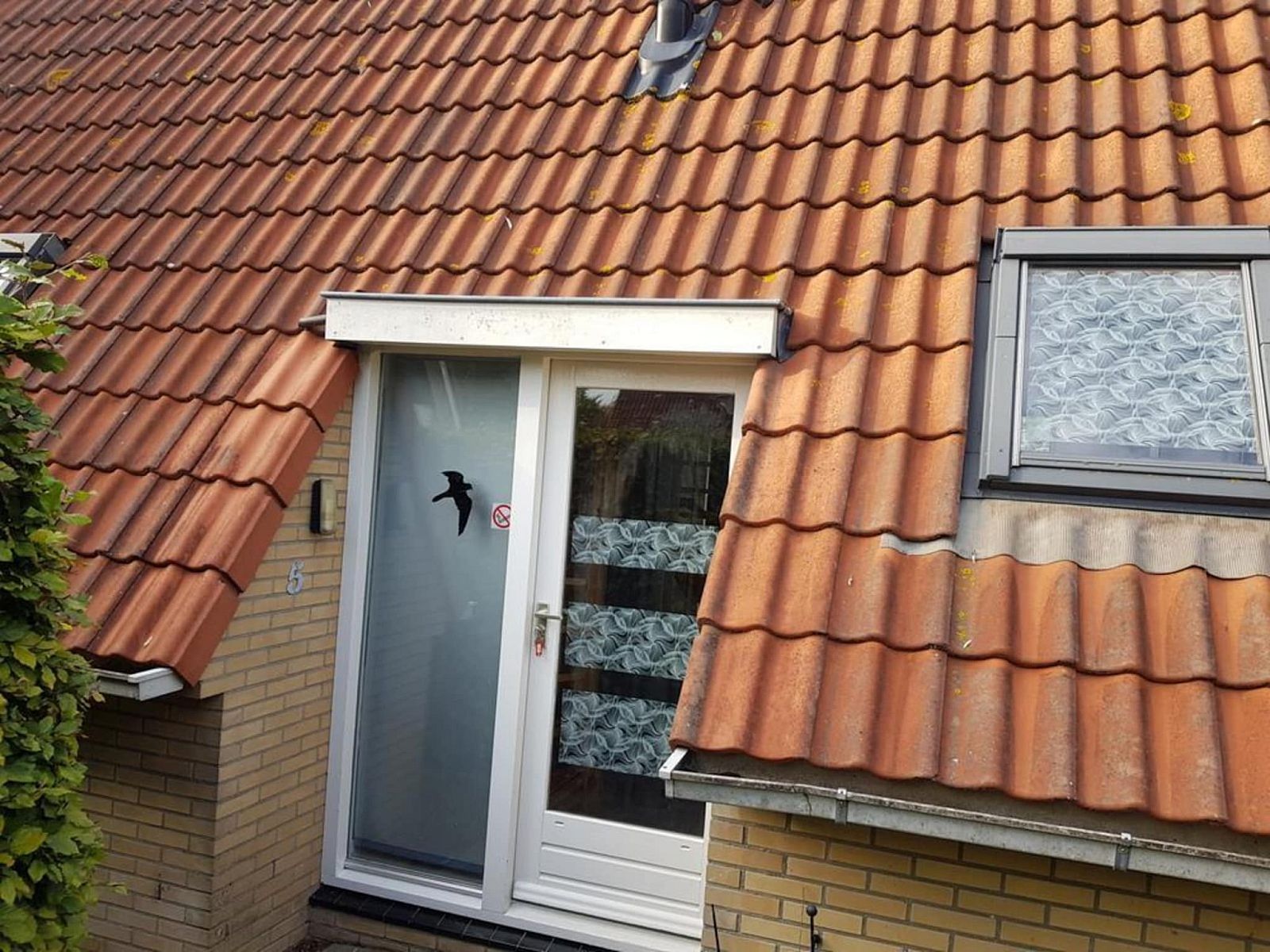 Unterkunft 452017 - Ferienhaus Noordzeekust - Vogelvrij 5