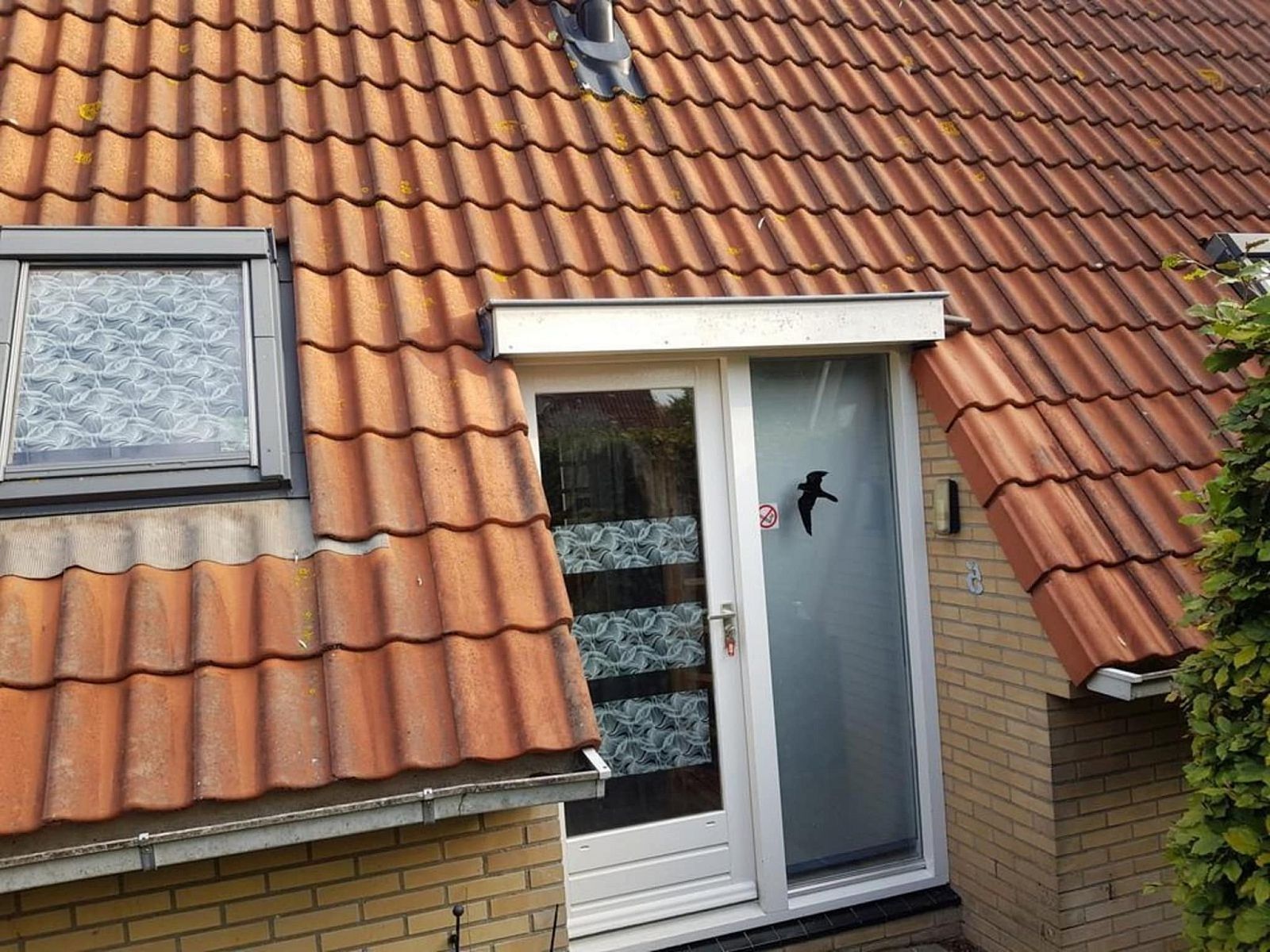 Unterkunft 452017 - Ferienhaus Noordzeekust - Vogelvrij 5