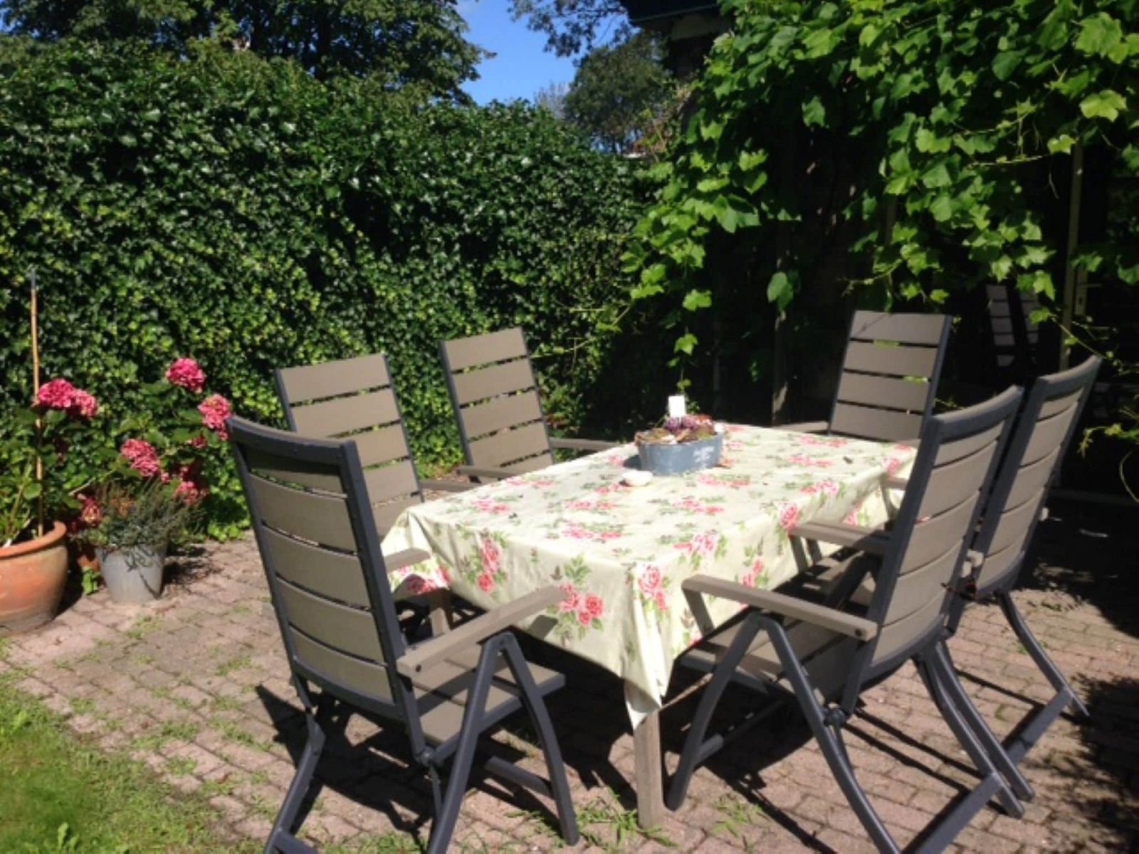 Unterkunft 452018 - Ferienhaus Noordzeekust - De Bolhoed