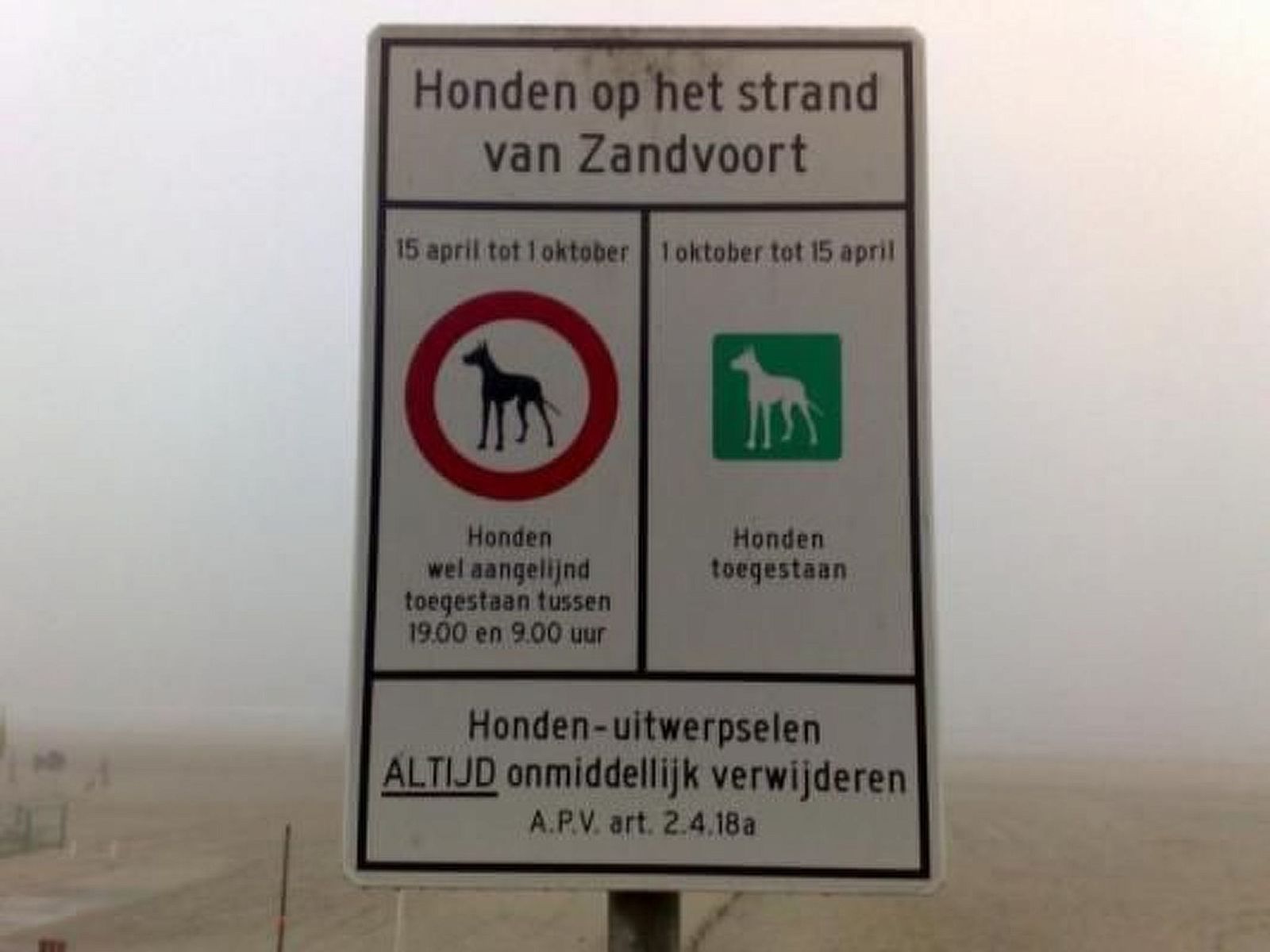 Guest house 452422 - Apartment Noordzeekust - Appartement Wohnung in zentraler Lage in Zandvoort