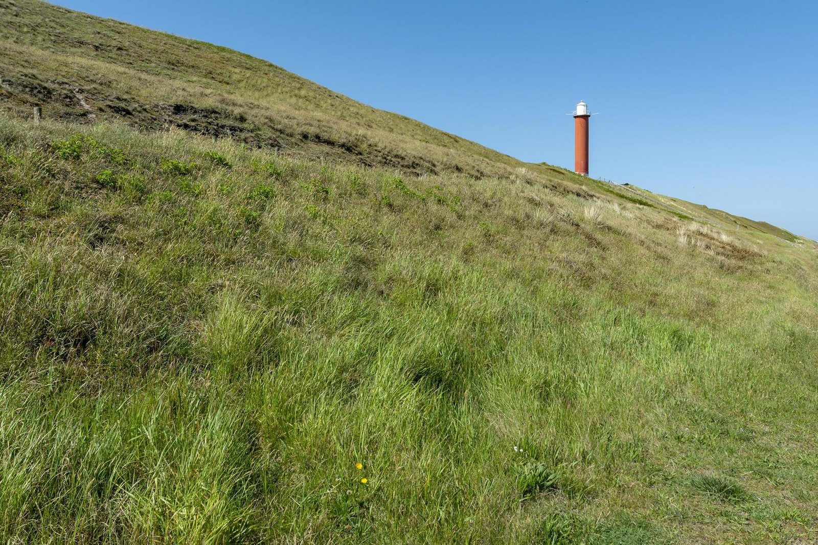 Unterkunft 452714 - Ferienhaus Noordzeekust - Strandleven 006