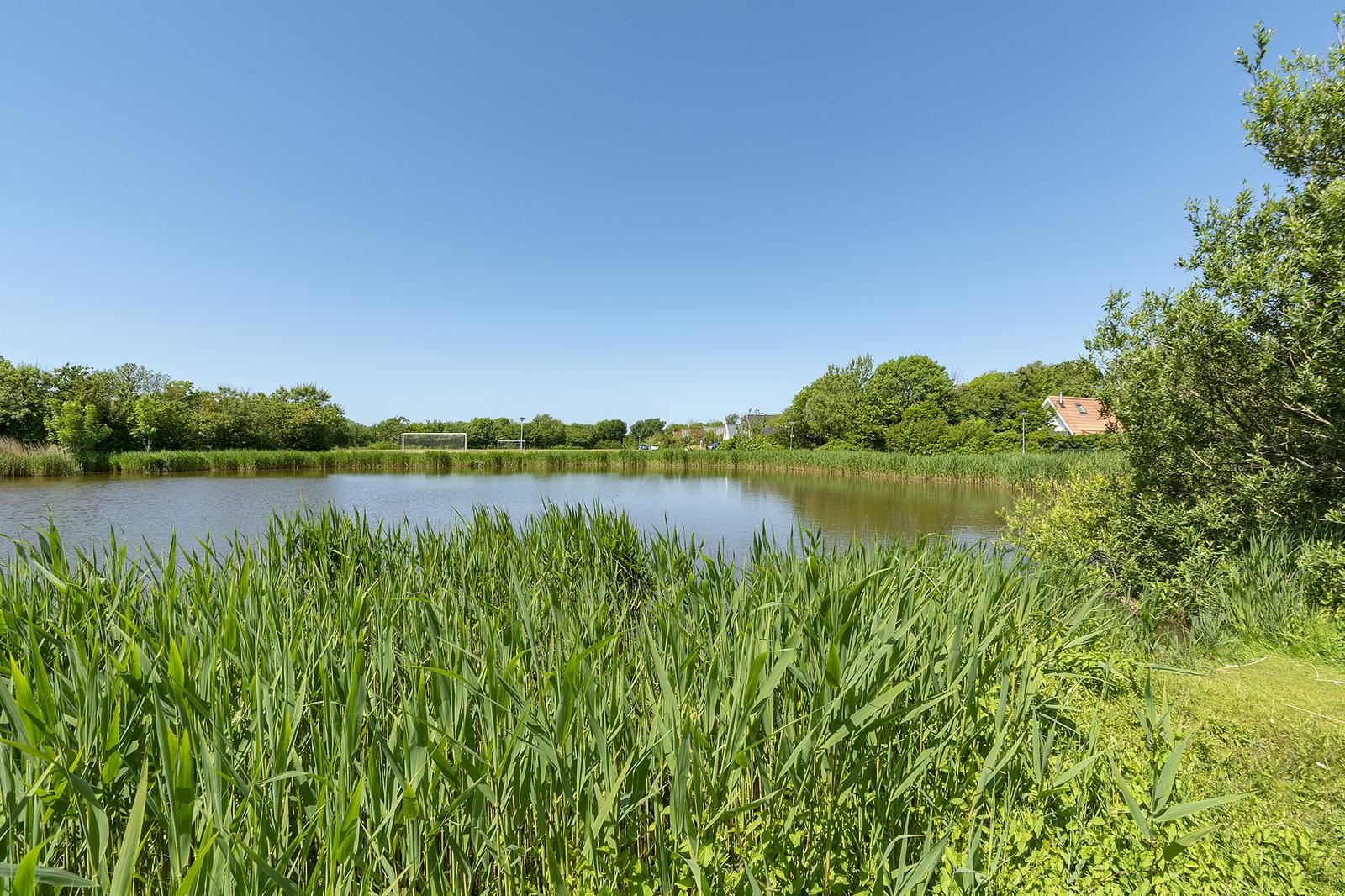 Guest house 452723 - Holiday property Noordzeekust - Sandepark 113