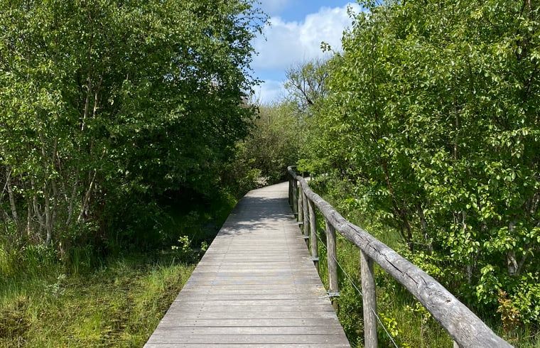 Hangmat in bosrijke omgeving bij Vakantiehuisje in Schagerbrug, Noordzeekust, Noord-Holland voor ultieme rust.