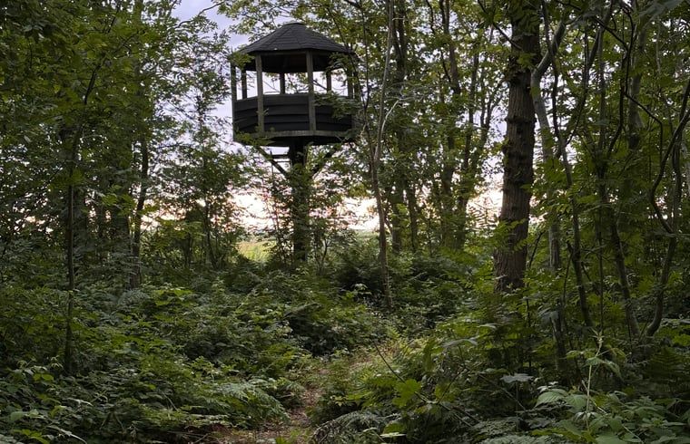 Bloeiende bloemen in de tuin van Vakantiehuisje in Schagerbrug, Noordzeekust, Noord-Holland voor een kleurrijk uitzicht.