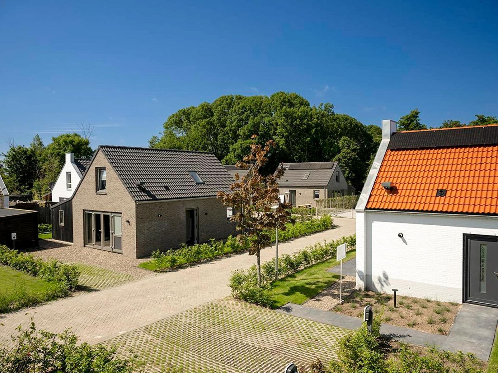 Guest house 452938 - Holiday property Noordzeekust - Dromen in de duinen - 51