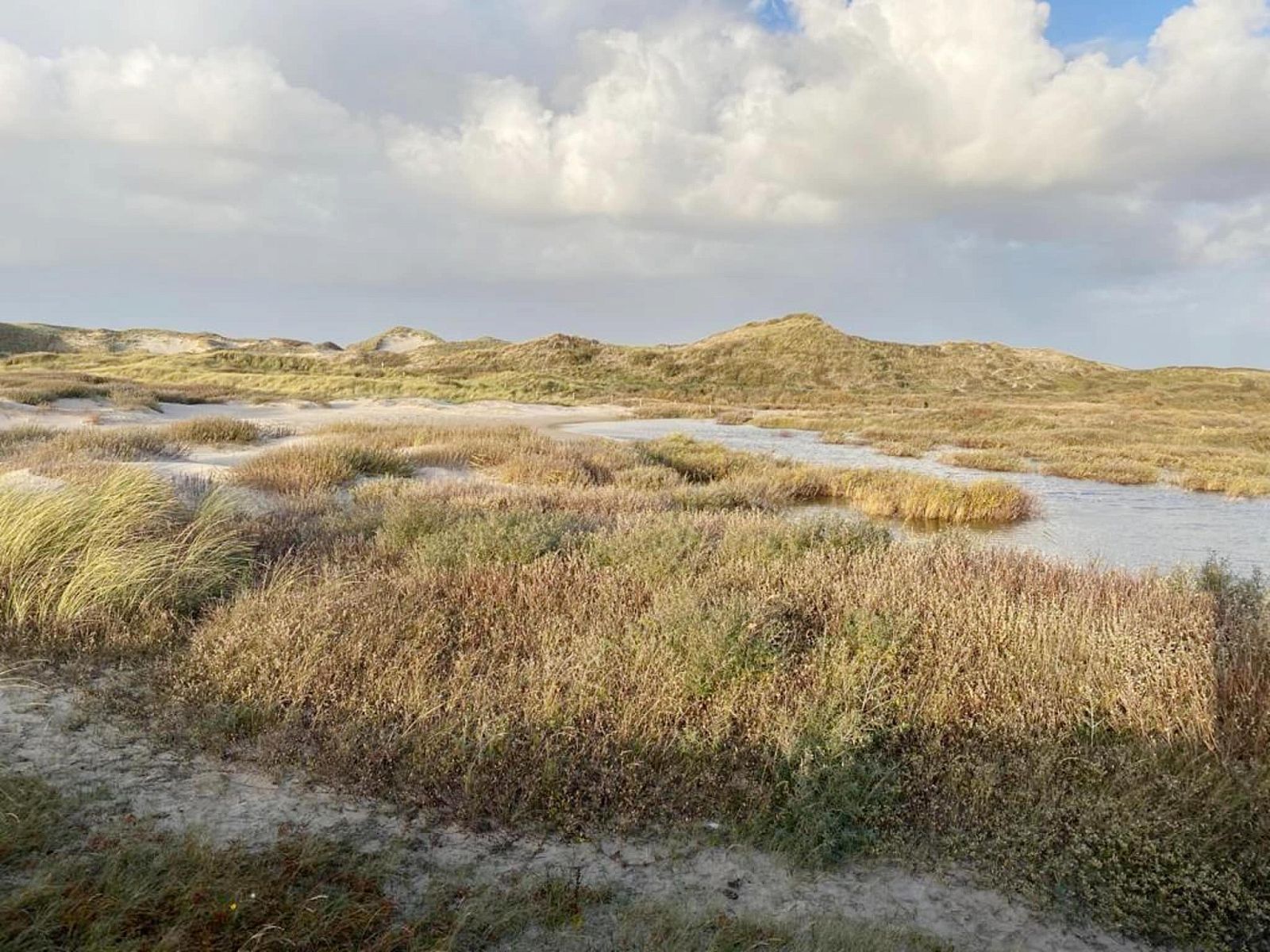 Unterkunft 452942 - Ferienhaus Noordzeekust - Slapen aan Zee Sint Maarten - 78
