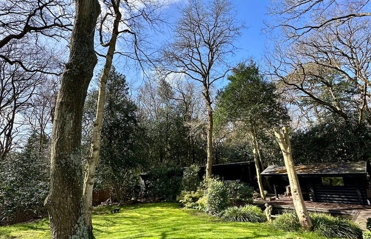 Guest house 453045 - Holiday property Noordzeekust - Vakantiehuis in Bergen