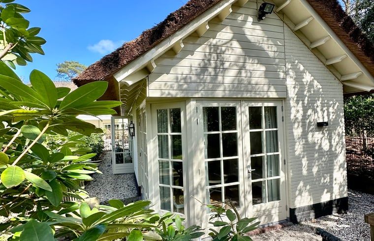 Guest house 453045 - Holiday property Noordzeekust - Vakantiehuis in Bergen