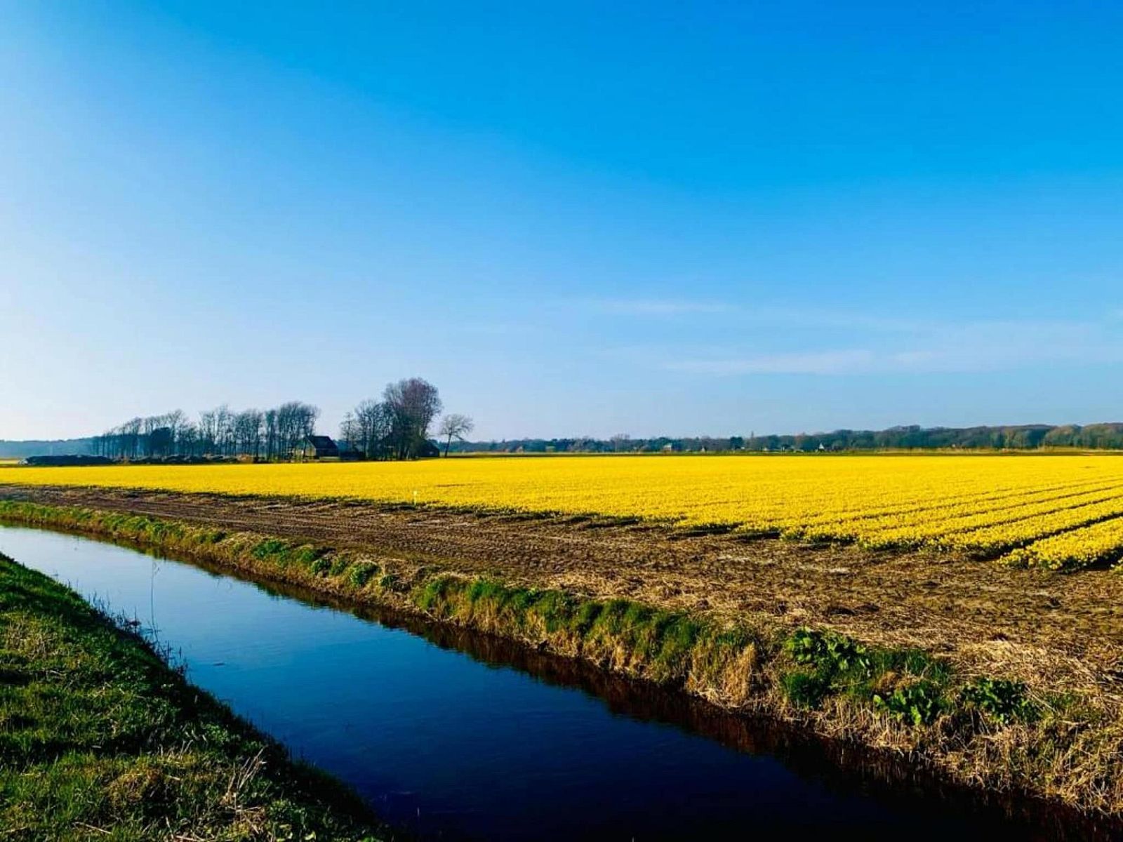 Unterkunft 453084 - Ferienhaus Noordzeekust - Het Roefje