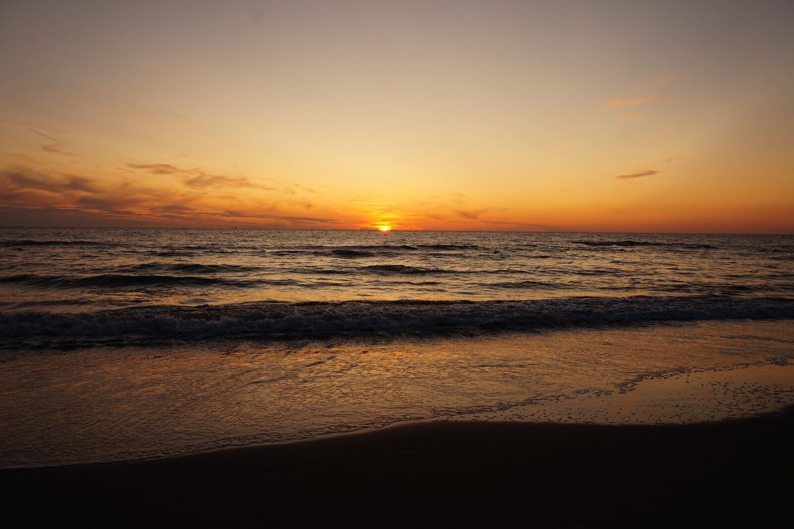 Guest house 453711 - Holiday property Noordzeekust - Suite Uitwaayer