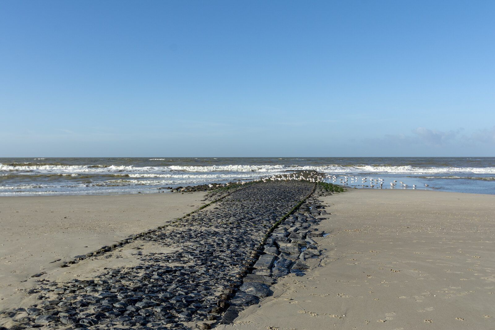 Guest house 453711 - Holiday property Noordzeekust - Suite Uitwaayer