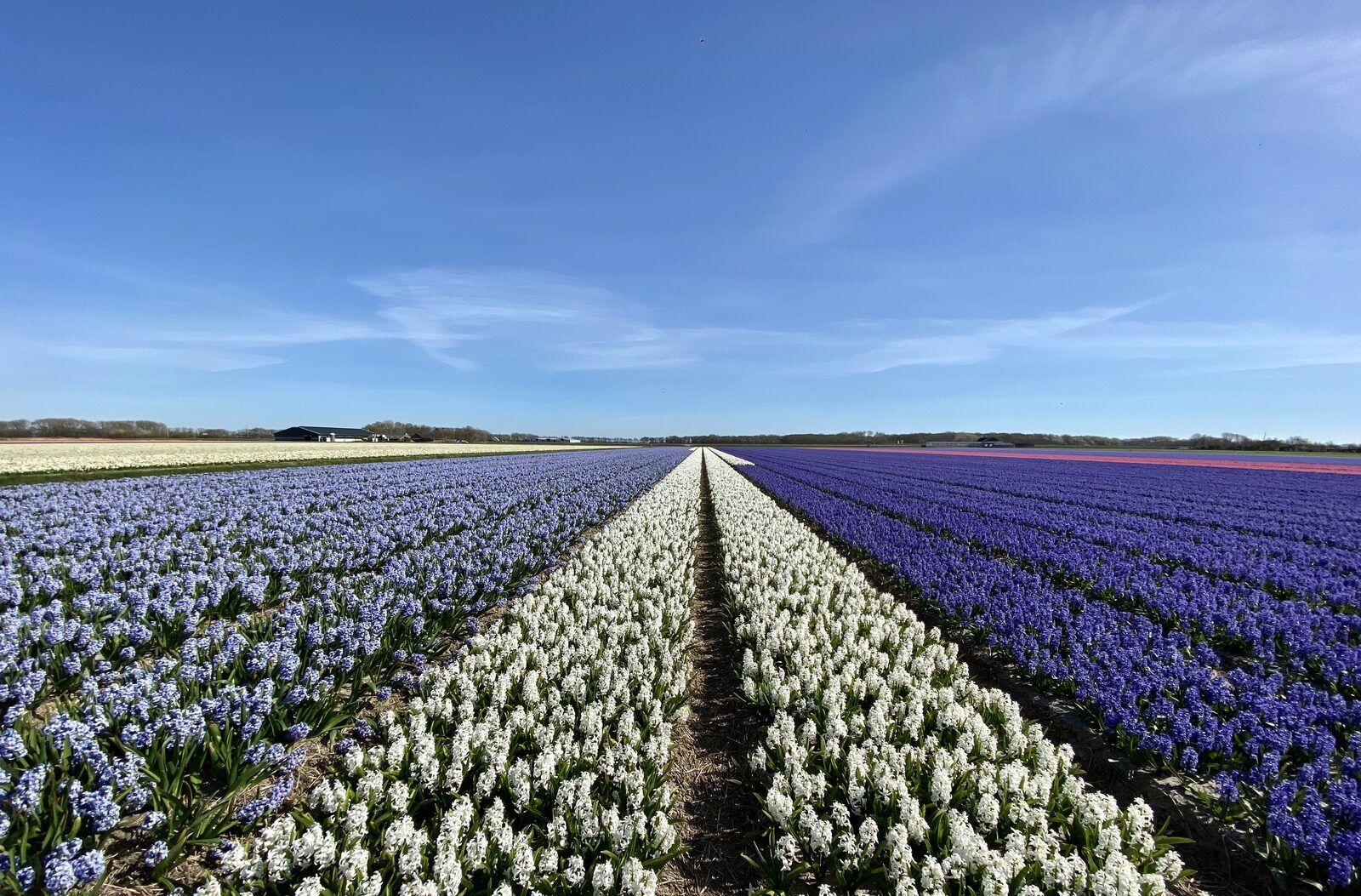 Guest house 453711 - Holiday property Noordzeekust - Suite Uitwaayer