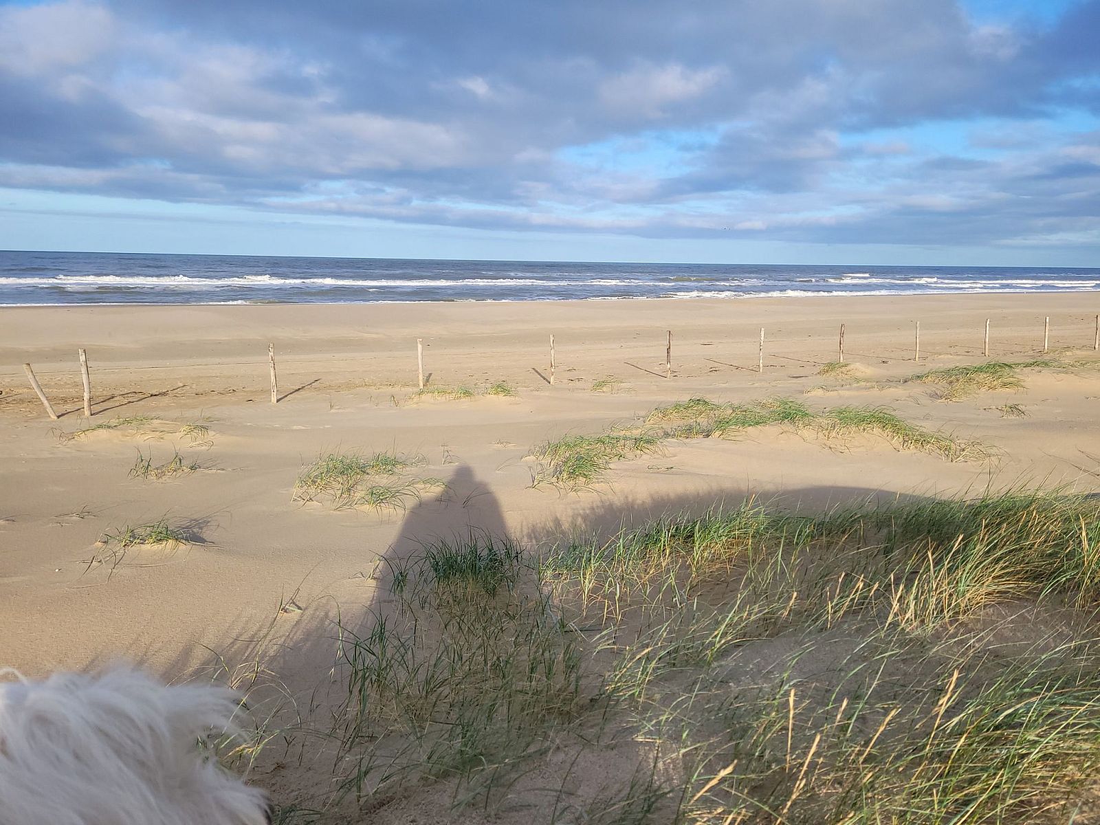 Guest house 453715 - Holiday property Noordzeekust - Vakantiehuis Knusperhaus