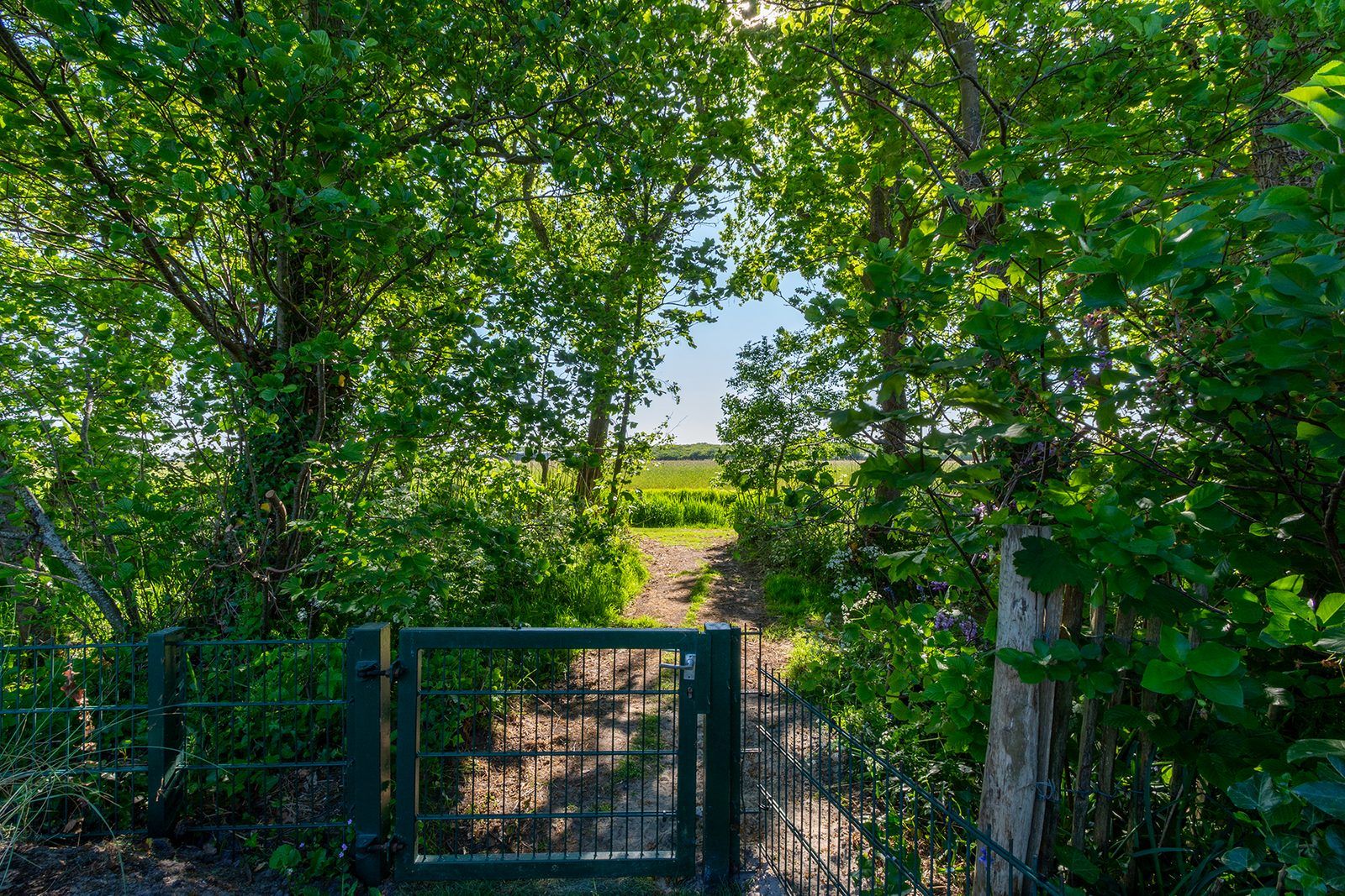 Guest house 453744 - Holiday property Noordzeekust - Beach Bungalow Sint aan Zee