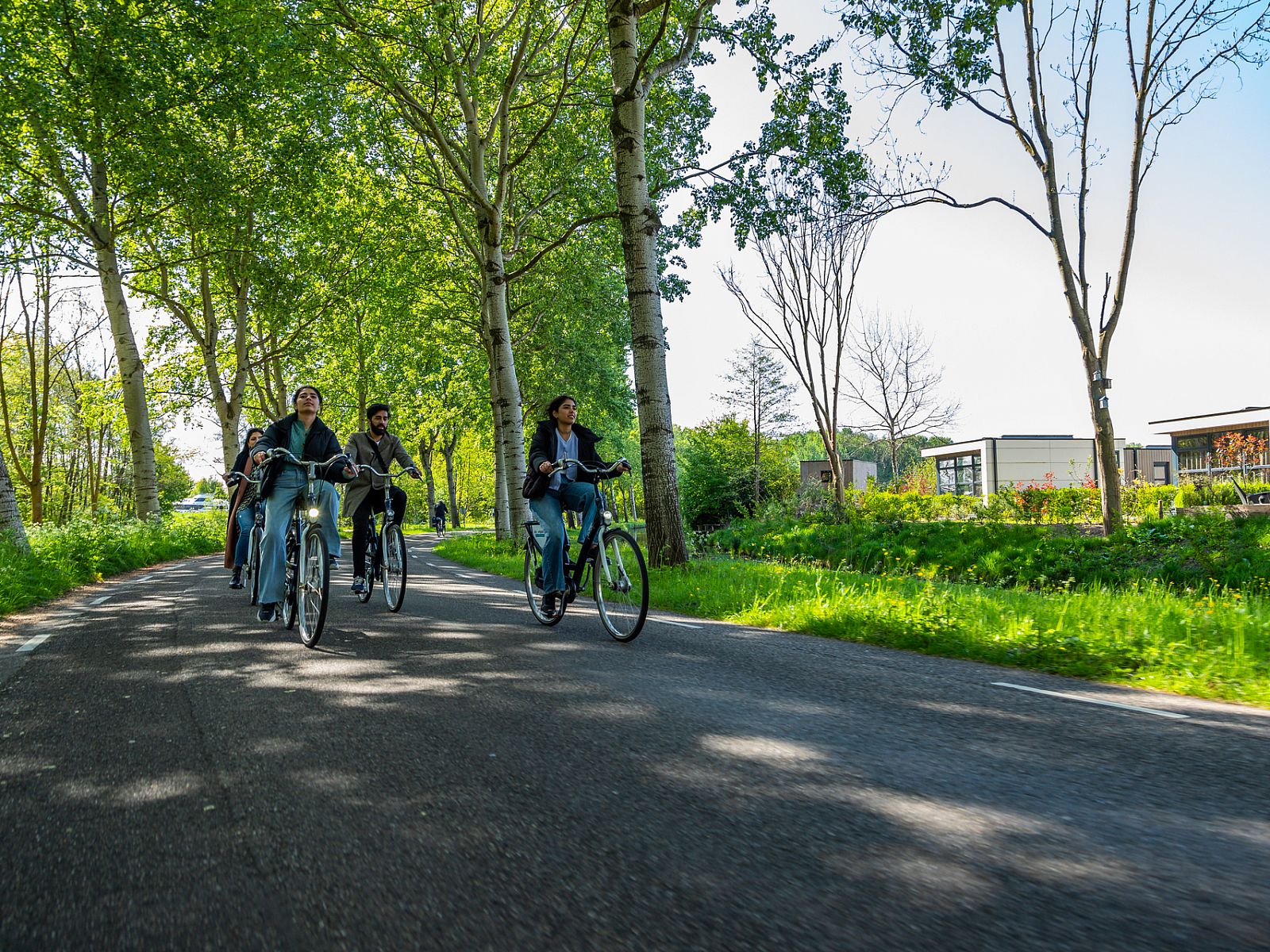 Verblijf 453814 - Vakantiewoning Noordzeekust - EuroParcs Buitenhuizen