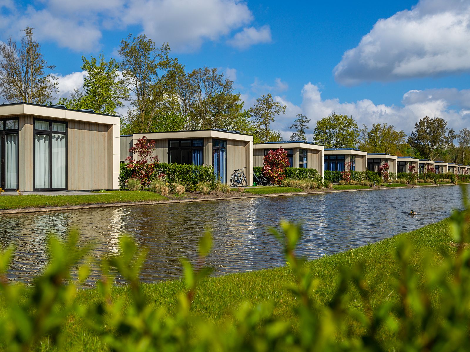 Verblijf 453814 - Vakantiewoning Noordzeekust - EuroParcs Buitenhuizen