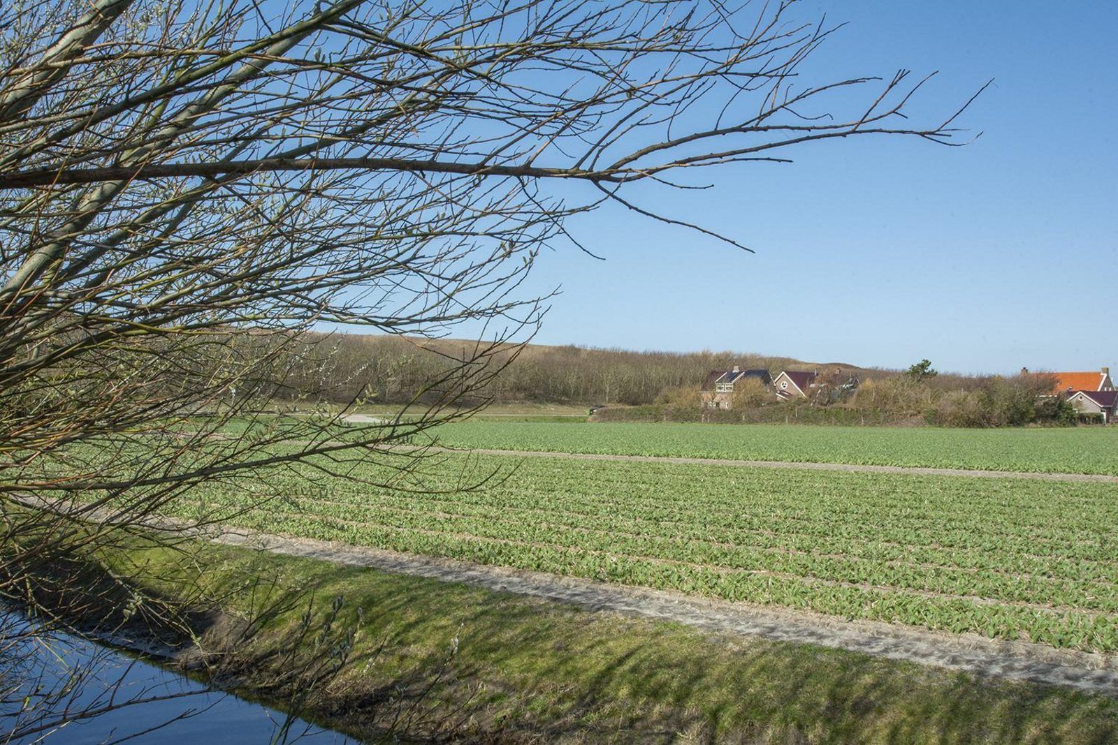Unterkunft 4540103 - Ferienhaus Noordzeekust - Résidence Juliana 53