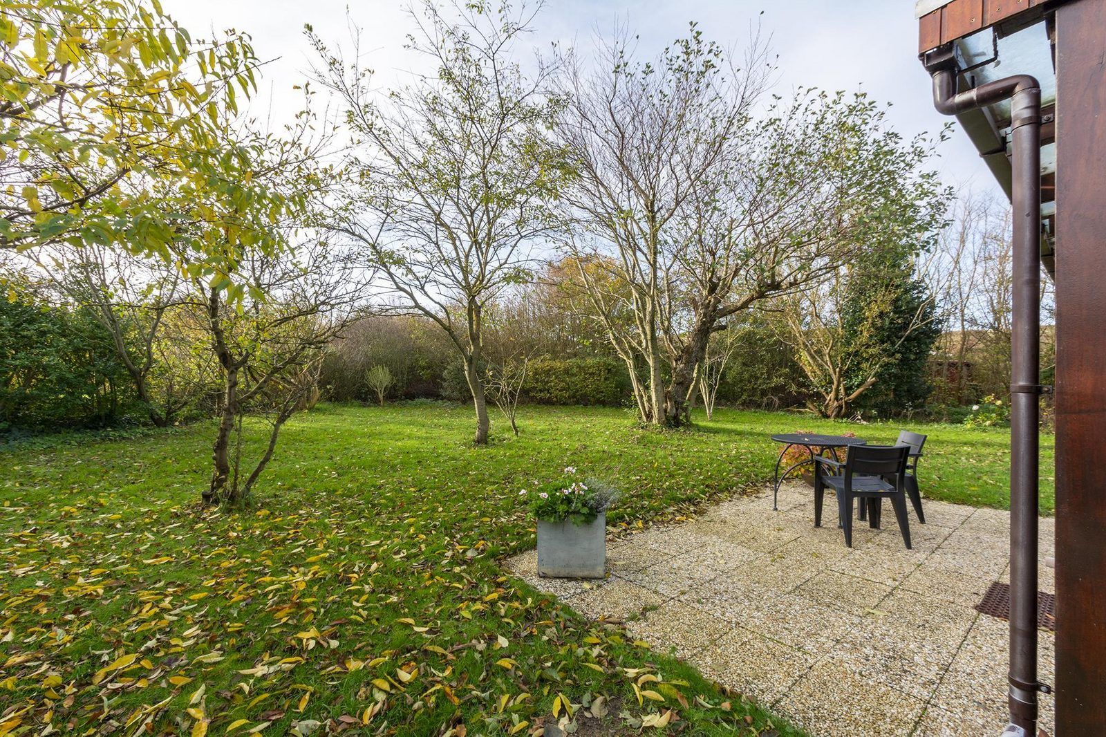 Verblijf 4540108 - Vakantiewoning Noordzeekust - Orchis 4