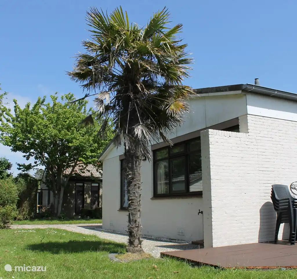 Unterkunft 4540128 - Bungalow Noordzeekust - Bungalow Zonnegroet