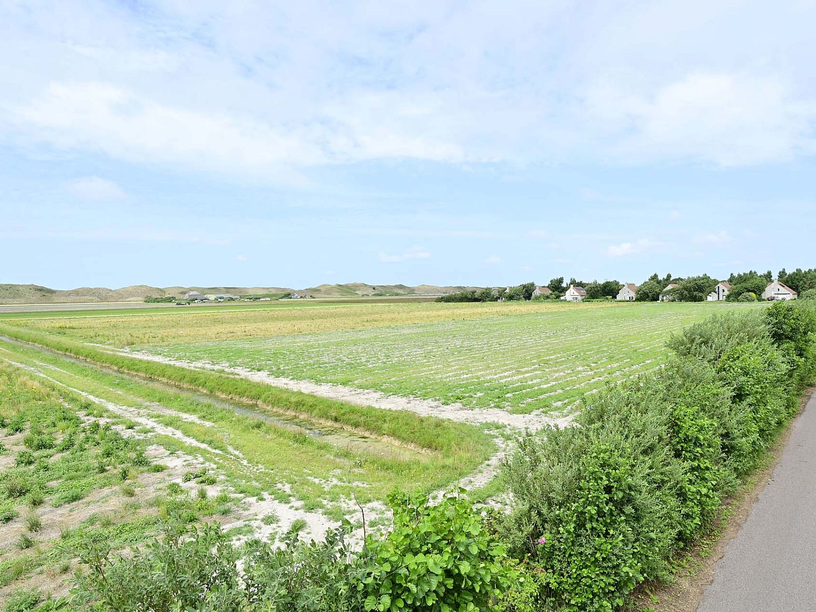 Uitzicht over groene velden nabij vakantiewoning Julianadorp aan Zee.