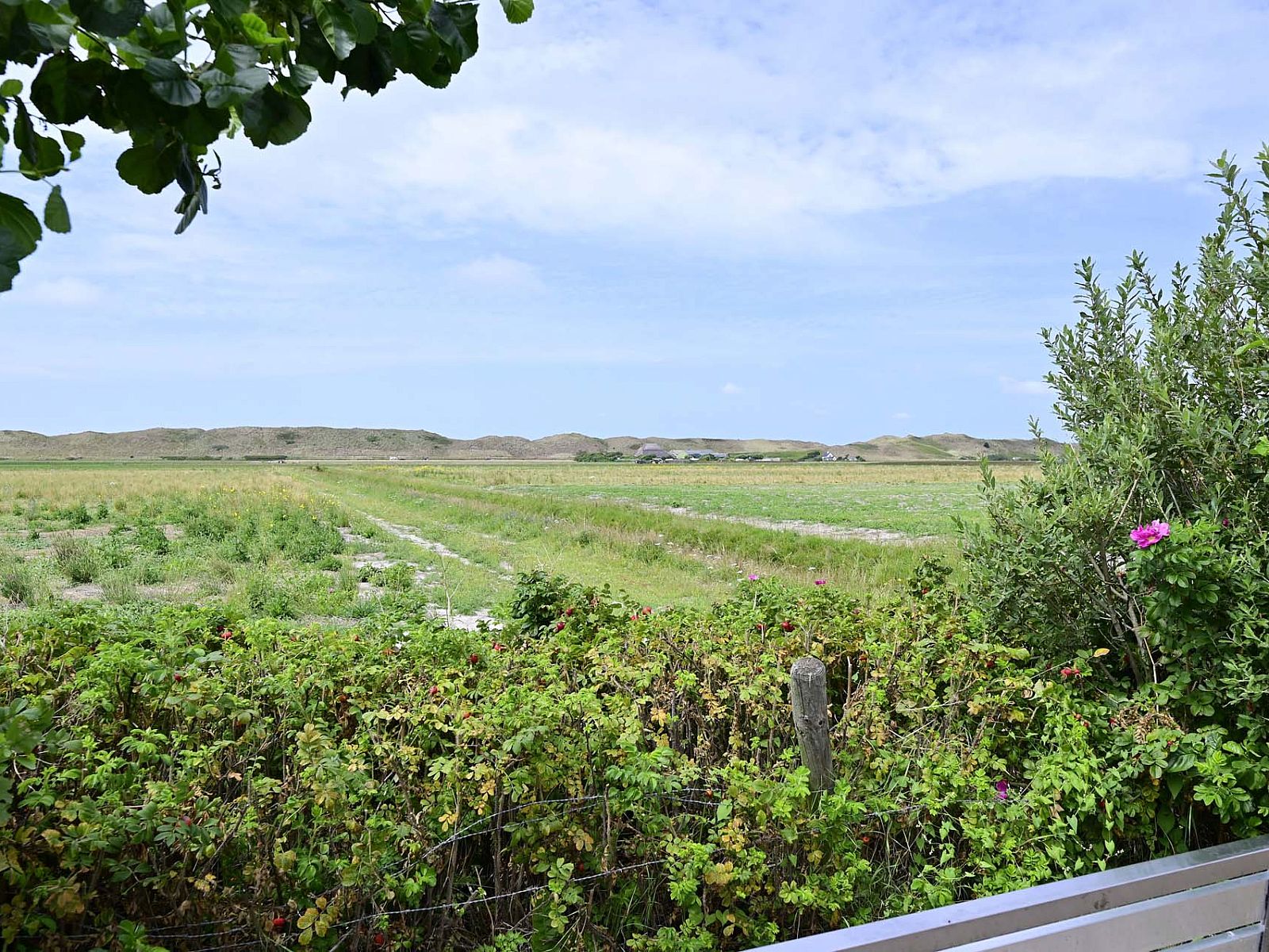 Prachtig uitzicht op duinen en velden vanuit Julianadorp aan Zee, Noord-Holland.