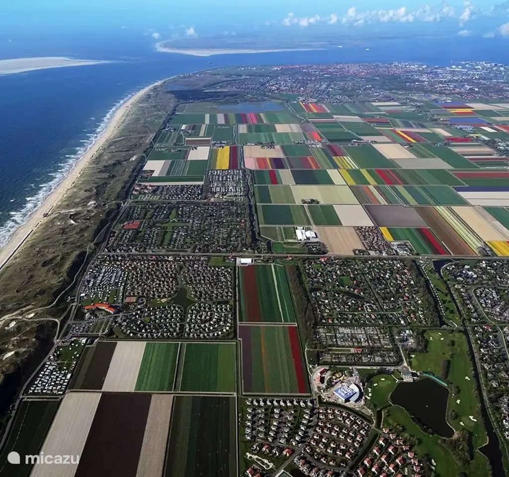Unterkunft 4540172 - Bungalow Noordzeekust - Albatros 331