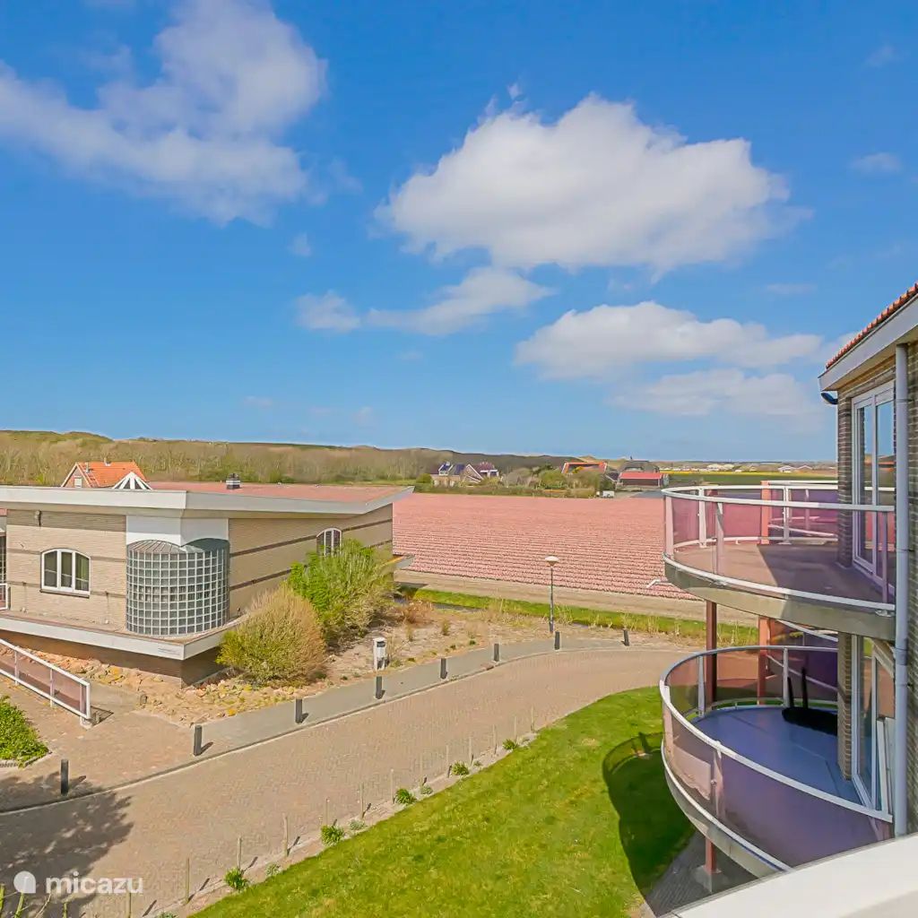 Guest house 4540183 - Apartment Noordzeekust - Appartement Celina