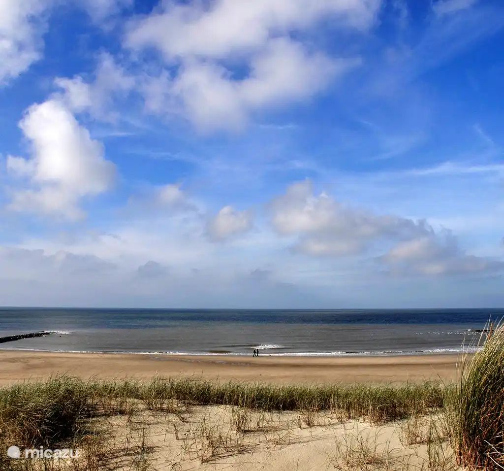 Unterkunft 4540236 - Bungalow Noordzeekust - Strandparel 81 Julianadorp aan Zee