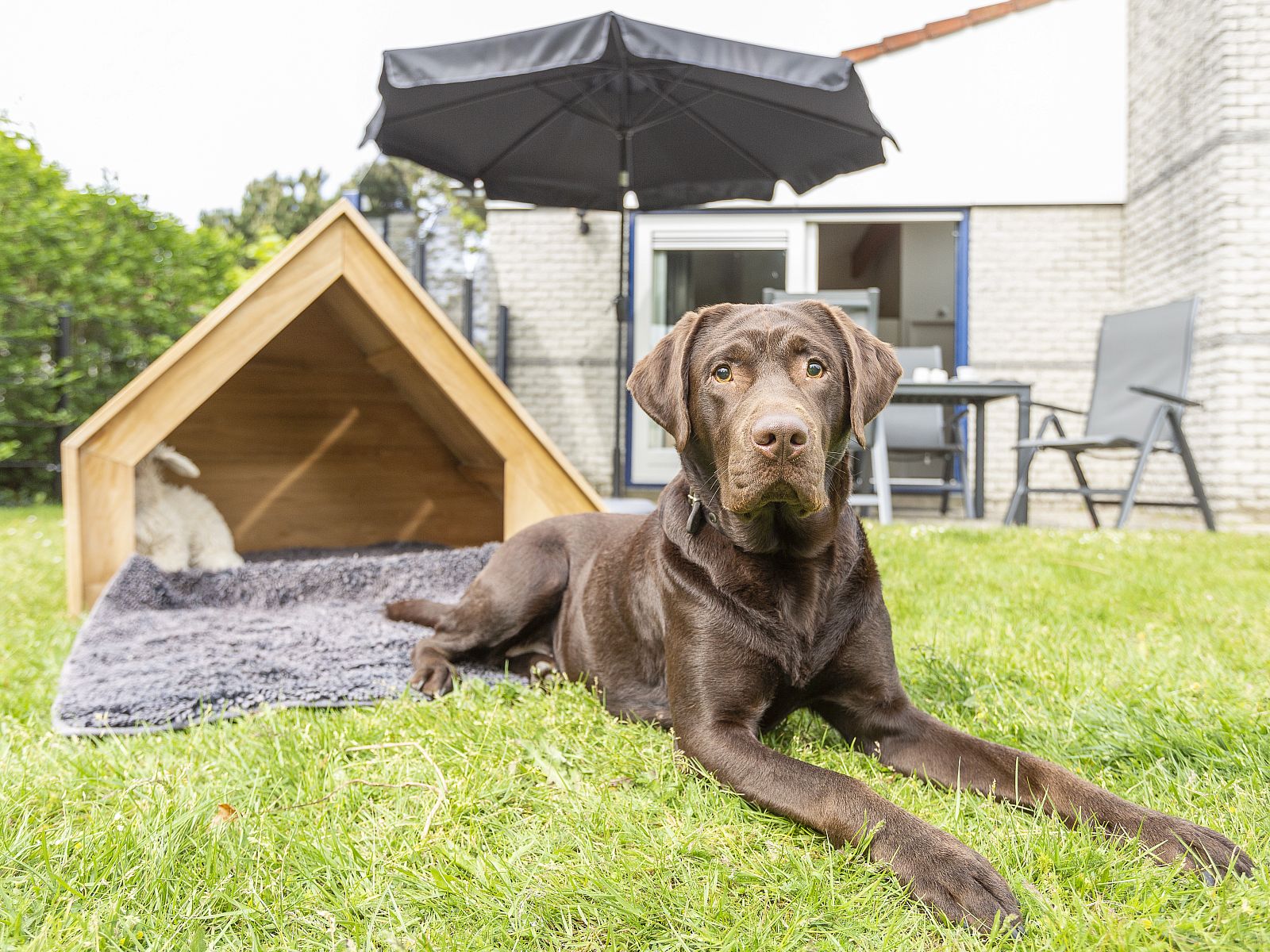 Unterkunft 454072 - Bungalow Noordzeekust - Beach Resort Ooghduyne | 4-persoons hondenvilla | 4CD