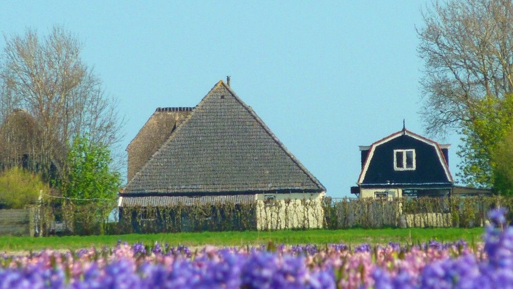 Verblijf 454106 - Vakantiewoning Noordzeekust - 100 jaar oude stolpboerderij